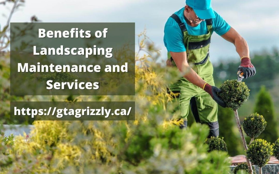 Benefits-of-Landscaping-Maintenance-and-Services-1080x675